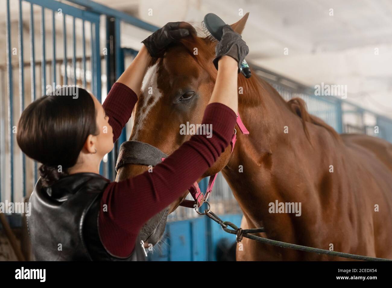 Femme cavalier se préparant à monter à cheval à travers l'hippodrome Banque D'Images