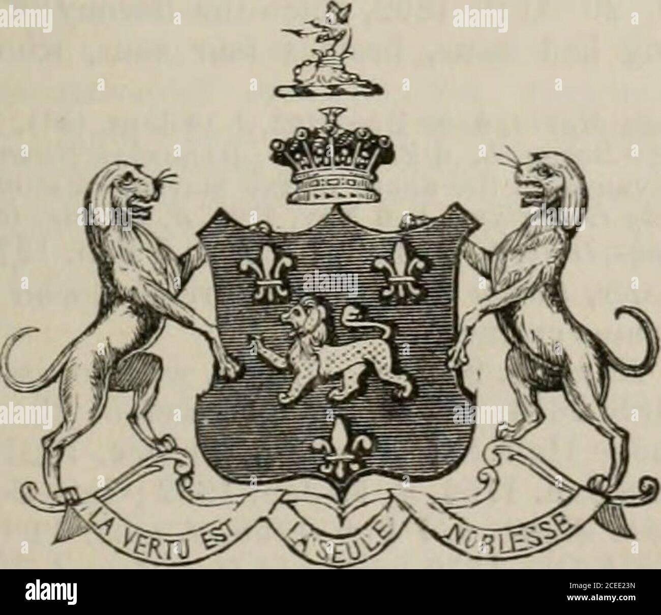 . Le peerage de l'Empire britannique tel qu'il existe actuellement : arrangé et imprimé à partir des communications personnelles de la noblesse. y, 9 avril 1845, Capitaine Hastings-Reginald Henry, R.N., fils de John-Joseph Hemy, Esq., par Lady Emily-Elizabeth Fitzgerald.—Voir Lein- STER. Son Ladyship est le seul enfant de Henrv-Edward, le vingtième Seigneur, qui se lavent. 8 septembre 1780, et d. 29 octobre 1810 ; par son mariage, le 21 juin 1809, avec la patrice du rapport Lady Grey de Ruthyn, Anna-Maria, fille de M. William Kel-Ham, b. 10 août 1792, et re-M. à l'hon. et le révérend William Eden.—Voir Henley.le regretté Seigneur était l'onl Banque D'Images