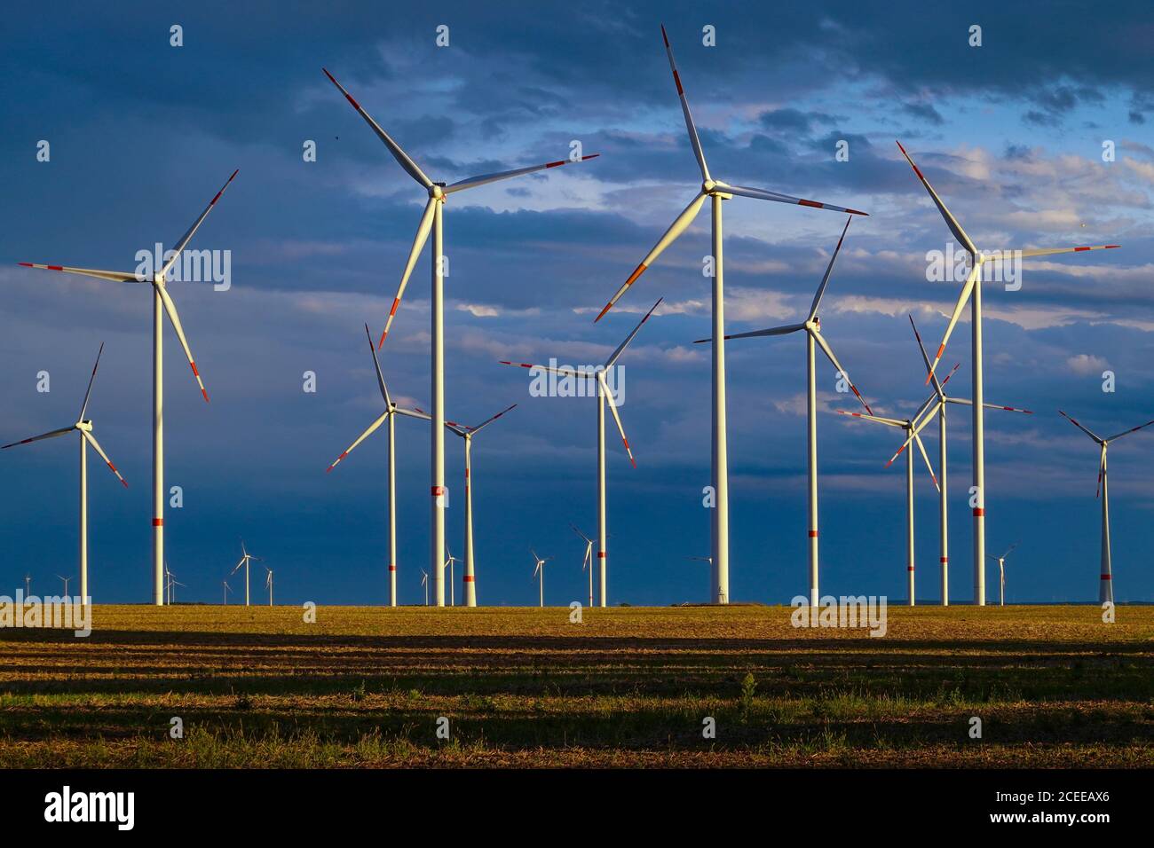 31 août 2020, Brandebourg, Sieversdorf : éoliennes au parc éolien d'Odervorland, dans le district d'Oder-Spree. Photo: Patrick Pleul/dpa-Zentralbild/ZB Banque D'Images