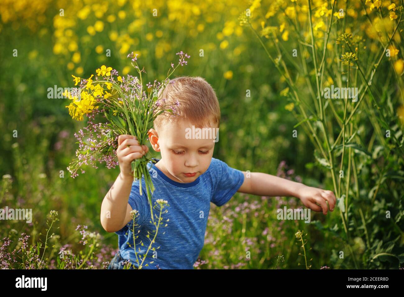 Joli petit garçon blond courant avec un bouquet de fleurs sur un pré jaune Banque D'Images