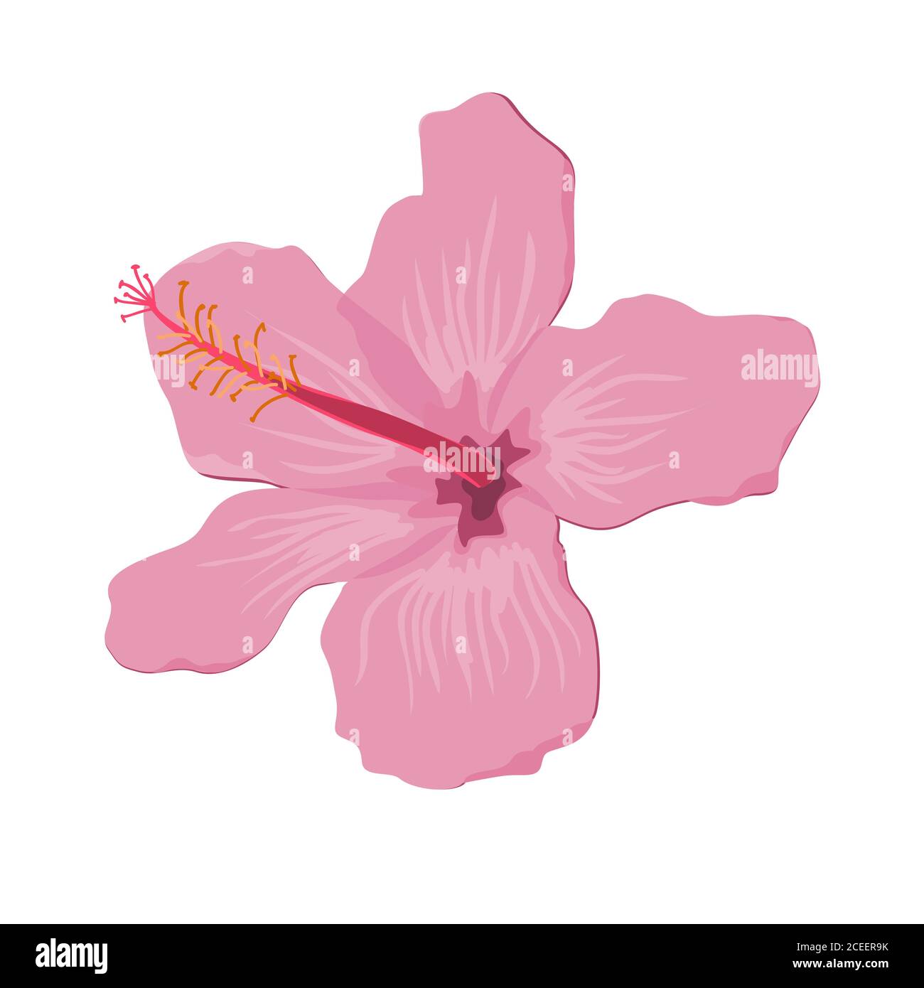 Hibiscus fleur vecteur plat. Exotique Hawaii plante isolée Illustration de Vecteur