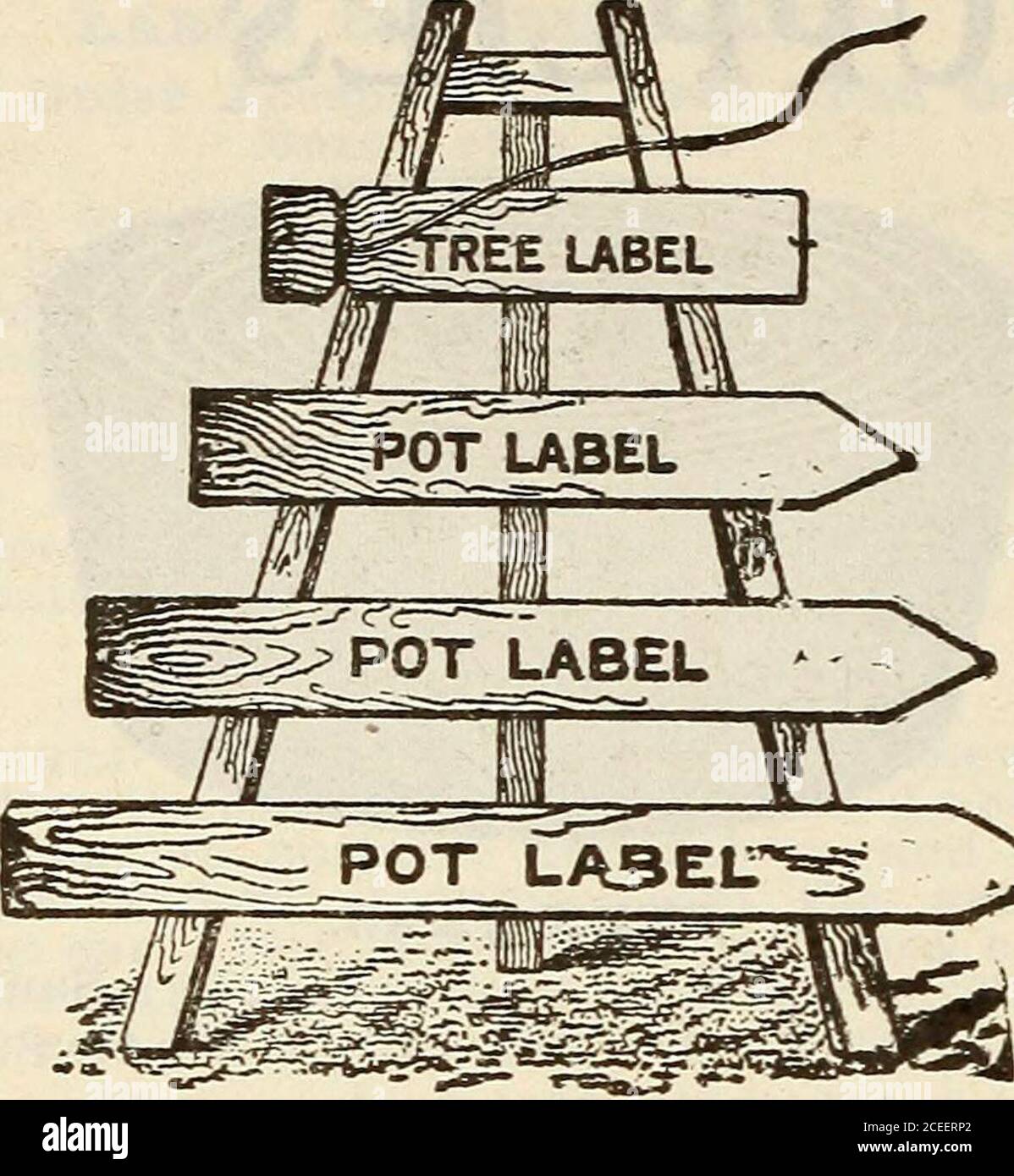 . Graines de Steckler : 1922. ach 35c. Chacune 9 par 3 pouces, 50c. Chacune 10 par 4 pouces, 60c. Chaque 50c. Chaque dimension donnée est des mesures extérieures. Frais d'emballage en sus. I^AYEB POTS. Chacun. Par doz. 5-inch $ .30 $2.50 6-inch 40 3.00 JACINTHE GI.ASSES (couleurs assorties.)Basse et haute, 40c. Chacun, ou 3.50 $ par douzaine. JABS JACINTHE FOB EABTH PI.ANT-ING.—4 X 5 X 7% POUCES, 50C CHACUN. CAI^IIA IiIIiY pots.—75c. Chacun. FI.OBIDA GI.AZED POTS. Chacun. 1 pinte t $ .25 1 pinte size 40 V2 gallon size 60 % gallon size 75 1 gallon size 90 11/2Gall size 1.25 2 gallon size 1.50 coût de l'emballage c Banque D'Images