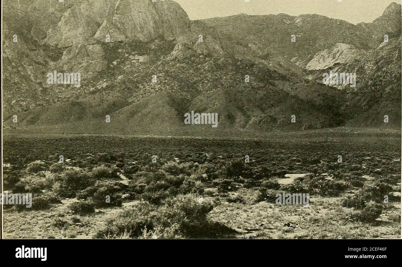 . Géologie et ressources en eau des vallées de Big Smoky, Clayton et Alkali Spring, Nevada. A. CRACHER DE FAUTE AU PIED DE LONE MOUNTAIN.. B. CRAP DÉFAUT AU PIED DE LA GAMME TOYABE. Banque D'Images