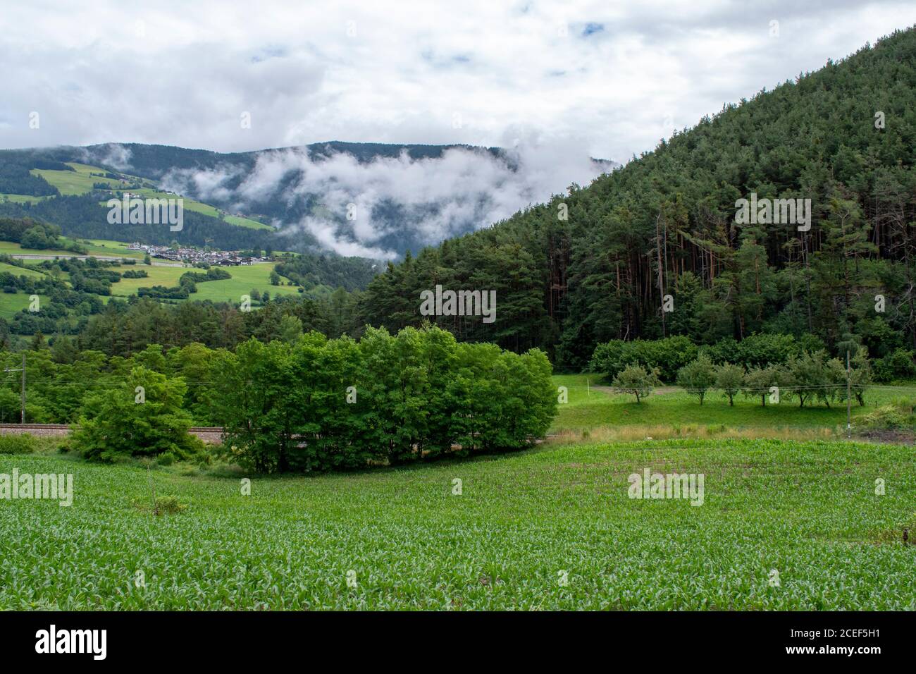 Paysage verdoyant, villages entourés de champs et d'arbres et montagnes dans le Tyrol du Sud, Tyrol du Sud. Dolomites, Italie. Hébergement touristique et Lodge Banque D'Images