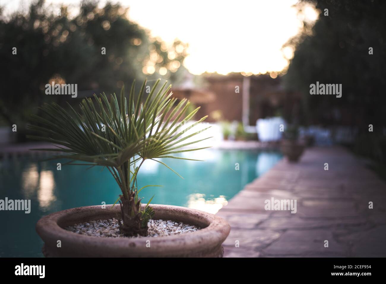 Belle décoration extérieure riad piscine au maroc Banque D'Images