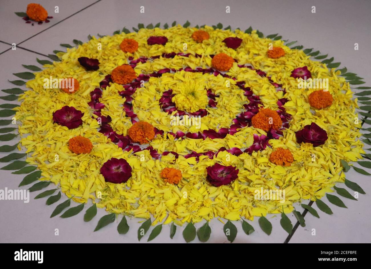 Fête de l'Onam/Pookalam/motif floral/Kerala Banque D'Images