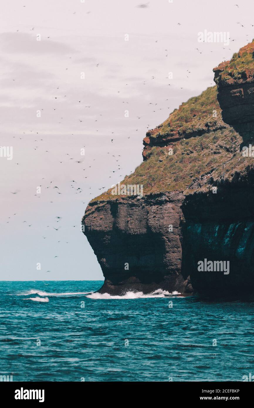 Vue sur l'immense falaise au-dessus de l'eau turquoise de l'océan avec troupeau d'oiseaux volant dans l'air Banque D'Images