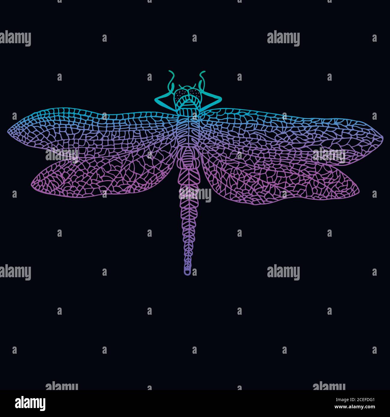 Dragonfly, magnifique insecte ailé, bleu vif violet couleur dehors Illustration de Vecteur