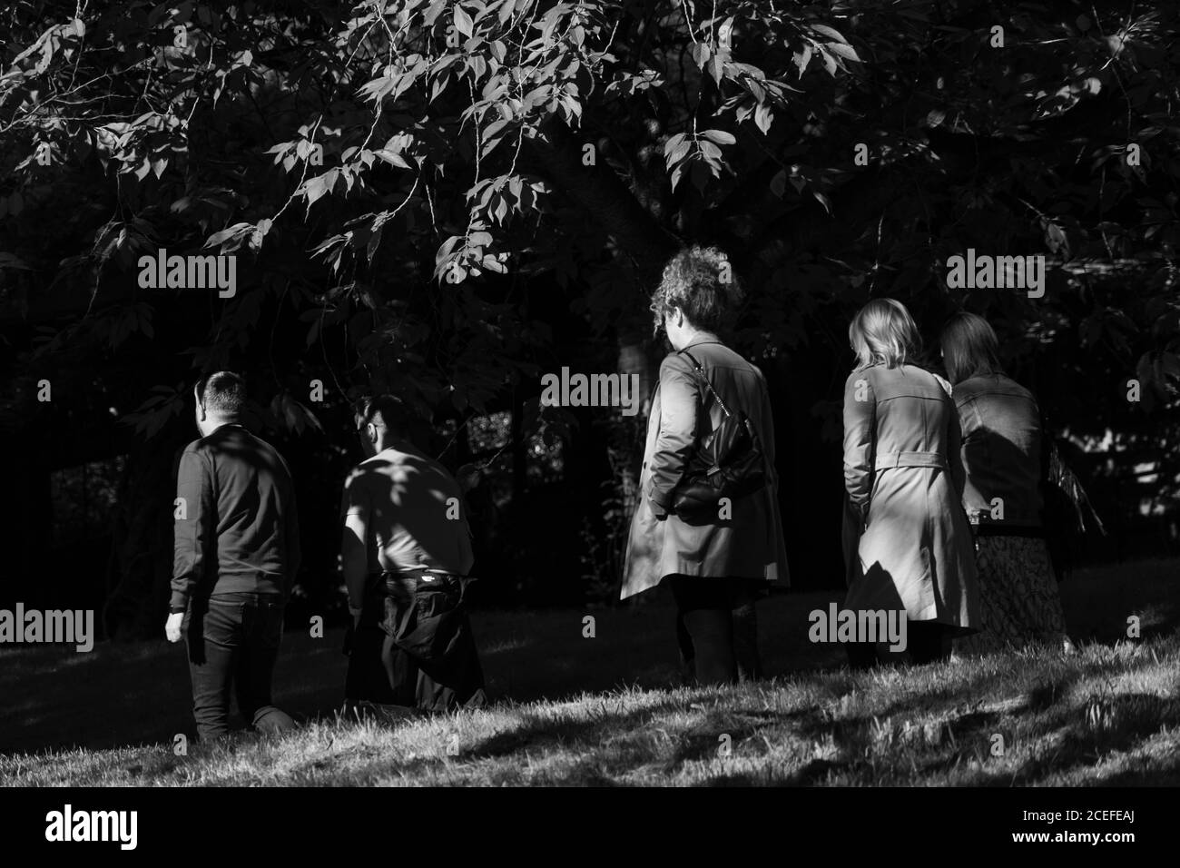 Tôt le matin, des ombres sont projetées sur un groupe de personnes qui se promo à travers les Valley Gardens, Harrogate, North Yorkshire, Angleterre, Royaume-Uni. Banque D'Images