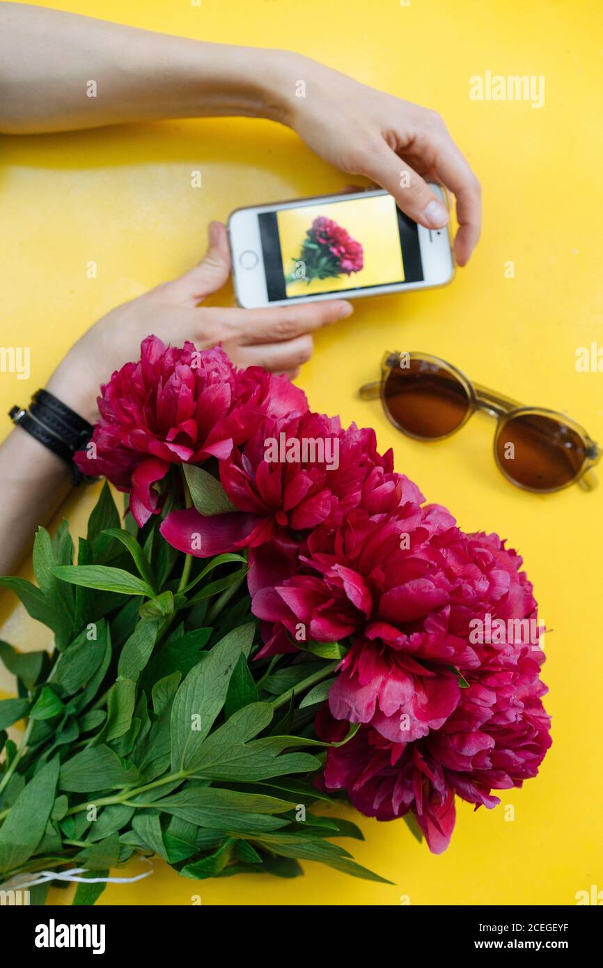 Rognez les mains des femmes en tenant le téléphone portable avec une image de lumineux fleurs de pivoine couchés à proximité avec des lunettes de soleil sur fond jaune Banque D'Images