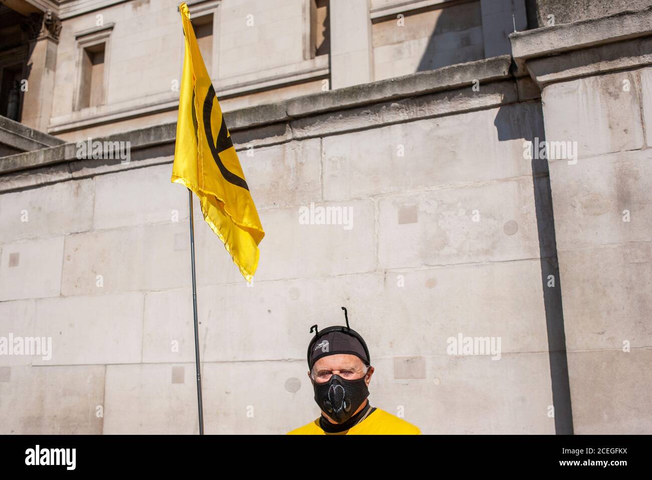 Extinction Rébellion protestant vêtu d'un costume jaune et noir posant pour un portrait à Trafalgar Square, Londres, Royaume-Uni. Banque D'Images