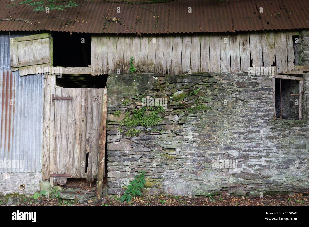 ruines d'une vieille vache ondulée, en bois et en pierre dans la campagne Banque D'Images