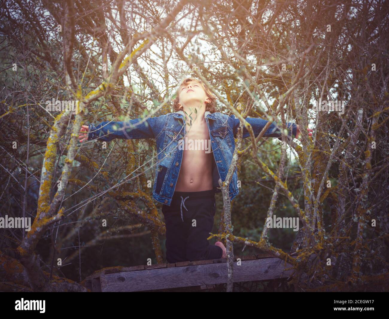 Joli garçon élégant en veste en denim debout avec les mains séparées dans les branches dans la nature. Banque D'Images