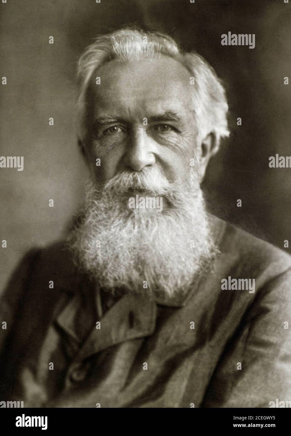 Ernst Haeckel. Portrait de l'artiste et scientifique allemand, Ernst Heinrich Philipp August Haeckel (1834-1919) par Alfred Bischoff, 1913 Banque D'Images