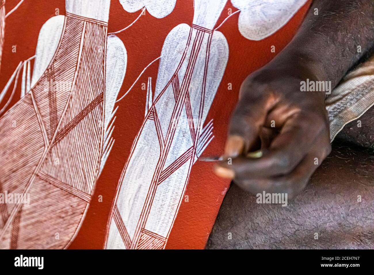 Les artistes aborigènes de Gunbalanya sont inspirés par les peintures rupestres classiques pour leurs photos. La brosse fine est faite des fibres d'une paume à vis Banque D'Images