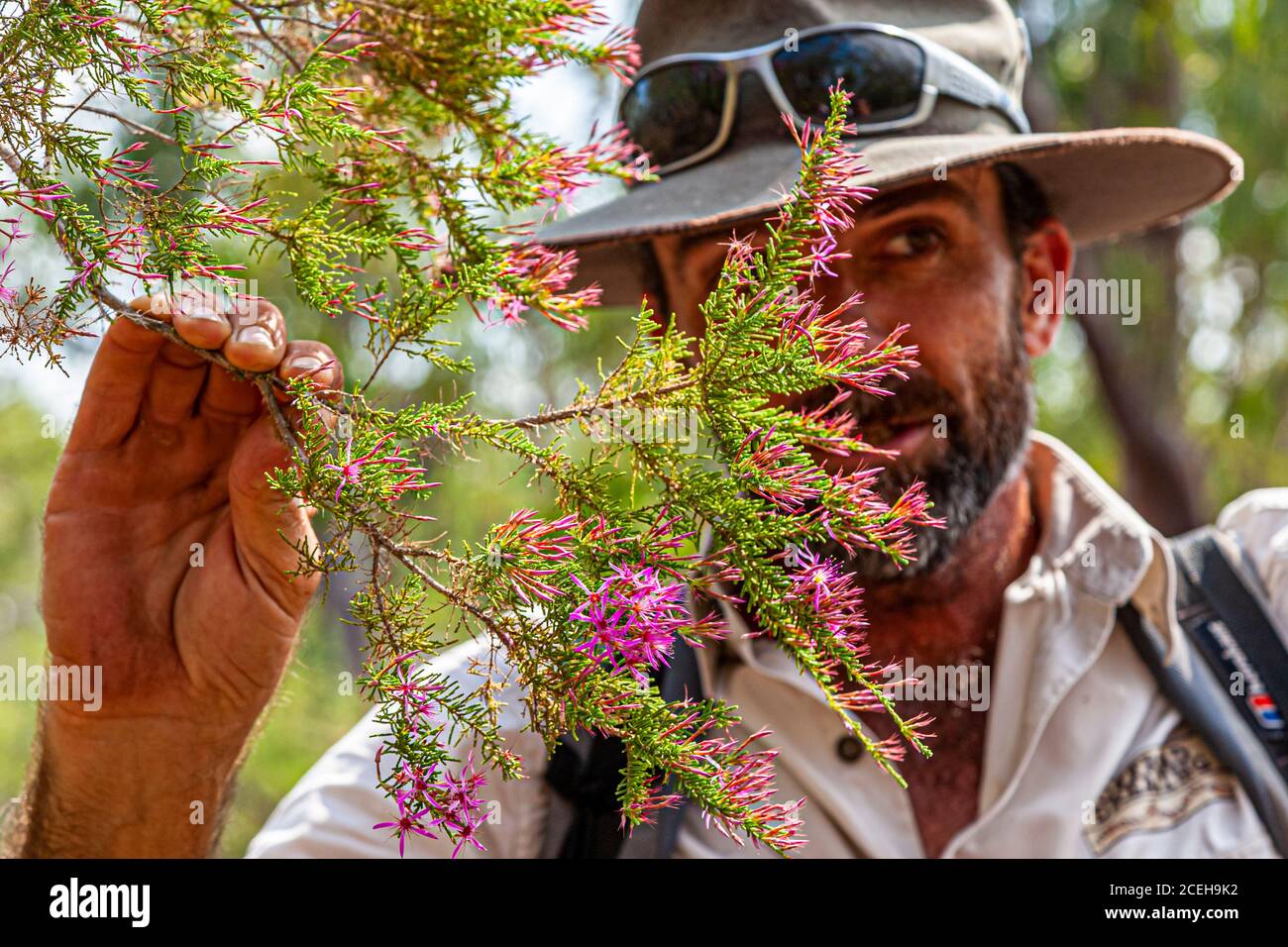 Visite guidée avec un Ranger dans l'Outback australien Banque D'Images