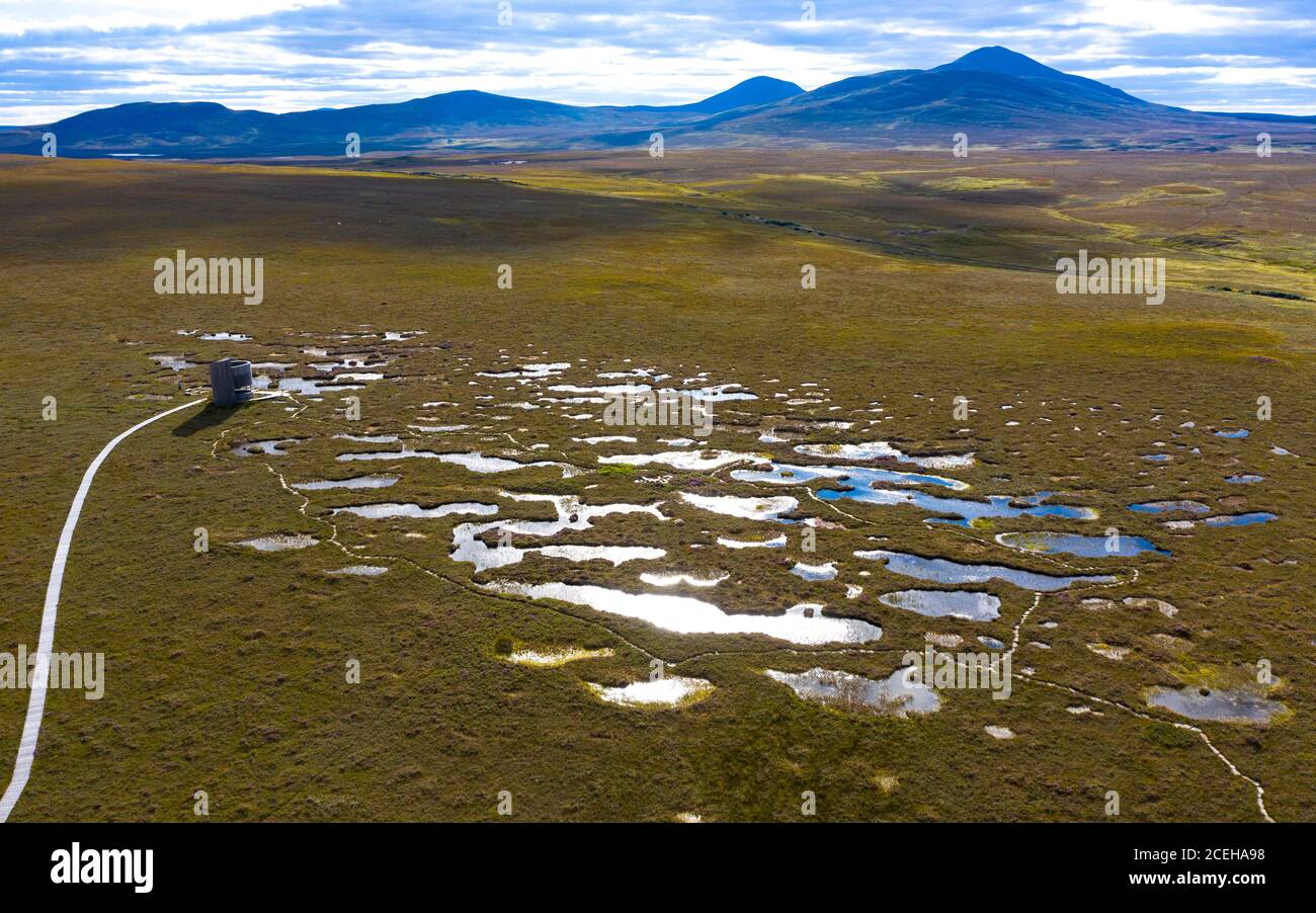 Vue du paysage du pays de Flow à la réserve naturelle de Forsinard de RSPB à Sutherland, Highland, Écosse, Royaume-Uni Banque D'Images