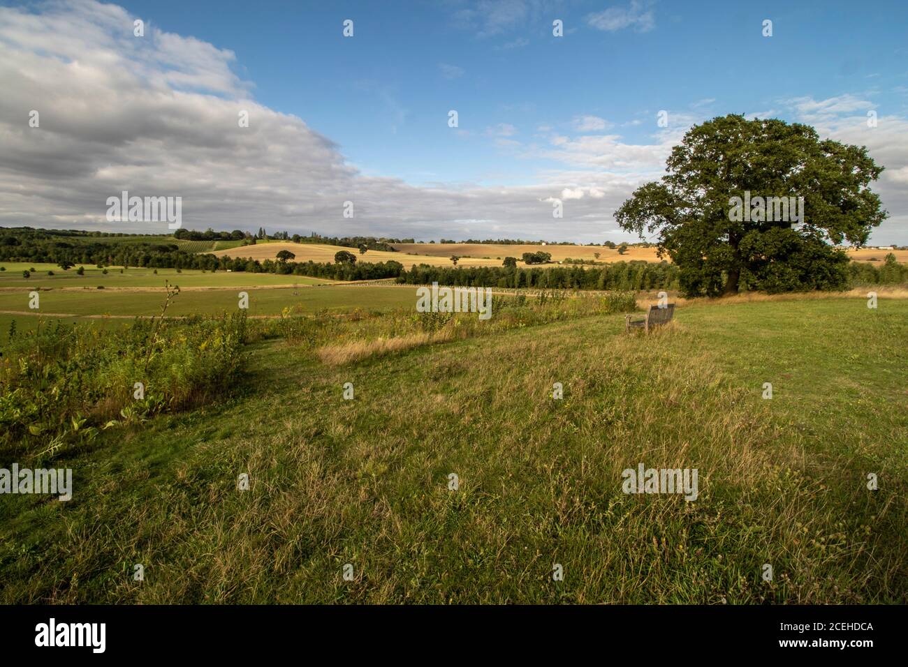 Paysage verdoyant d'Essex en fin de soirée soleil de la fin de l'été, Angleterre, Royaume-Uni, Europe Banque D'Images