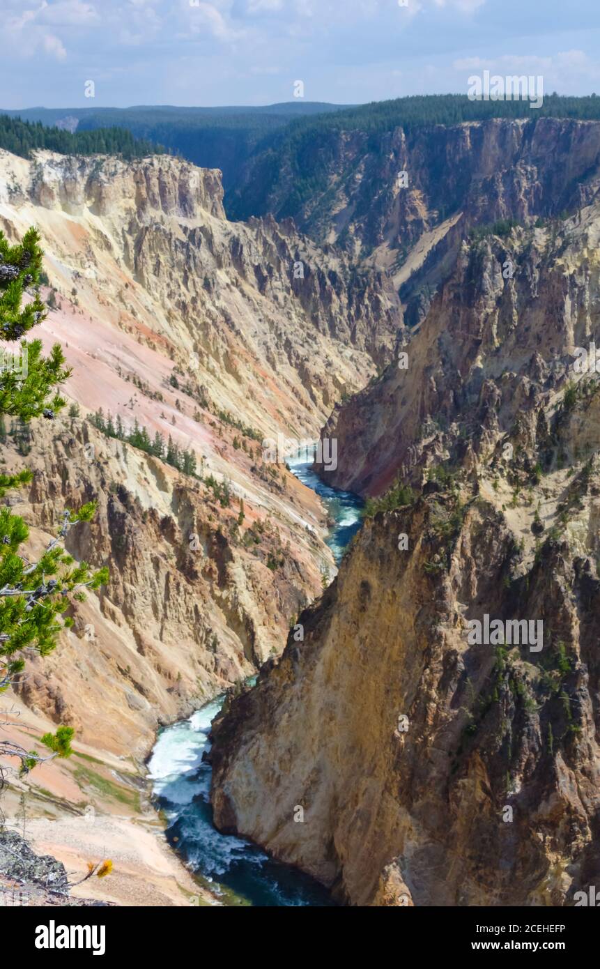 Grand Canyon de Yellowstone, parc national de Yellowstone, États-Unis Banque D'Images