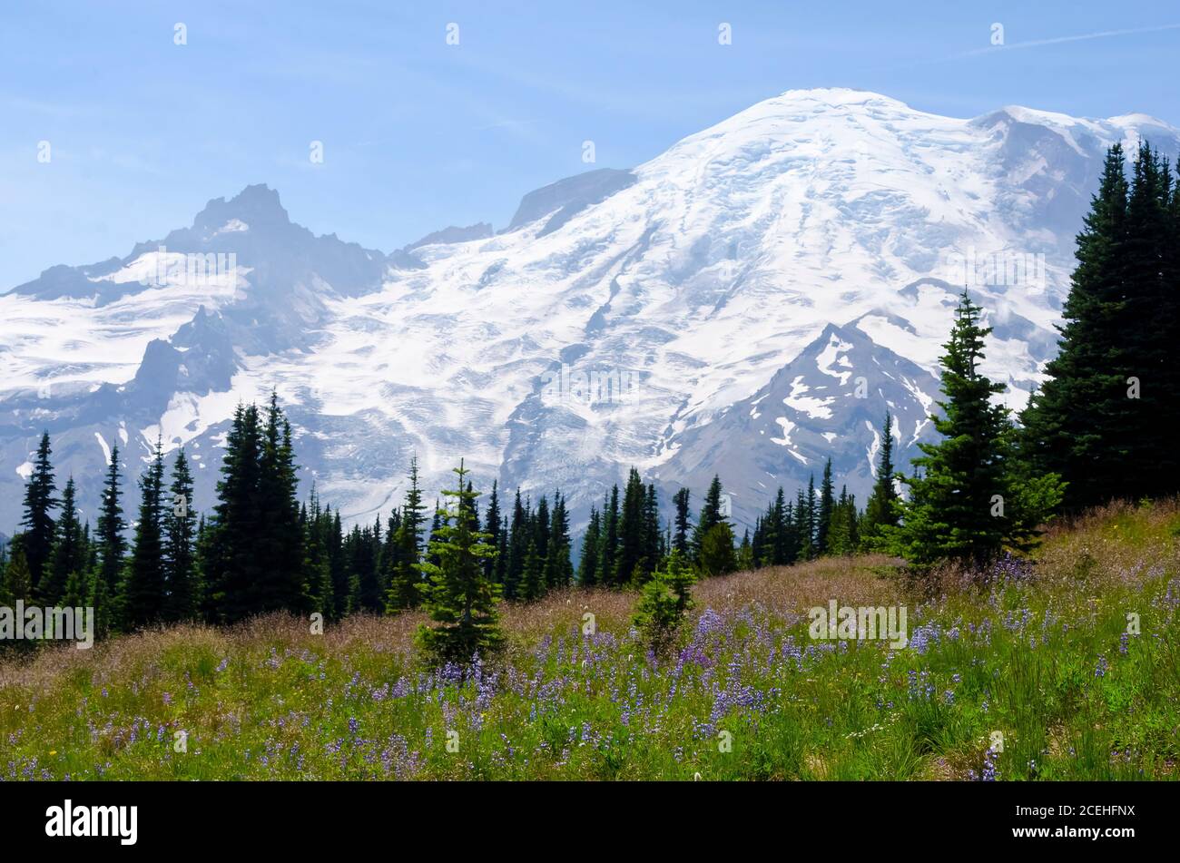 Parc national du Mont Rainier, Washington, États-Unis Banque D'Images