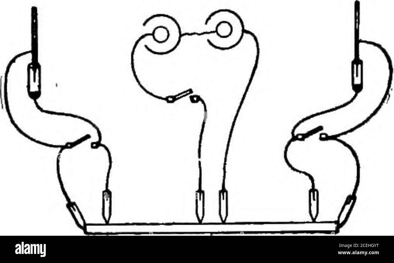 . Une introduction à la physiologie. Tous. Des cur-rentes faibles ont été obtenues de la peau des glandes dévoïdes, par exemple, la peau d'anguilles. Hermannattribue ce courant à la dégénérescence qui accompagne le changement des cellules nucléées du corium aux échelles mortes de l'épiderme extérieur. Un fort courant de sécrétion peut être obturade la peau du pied (chat). Sur la stimulation du nerf sciatique, le courant est augmenté (variation positive). Dans la glande sous-maxillaire, le hile est positiveto n'importe quel point sur la surface externe de la glande.stimulation du nerf de corde tympani, secre- 186 LE PHYSIO Banque D'Images