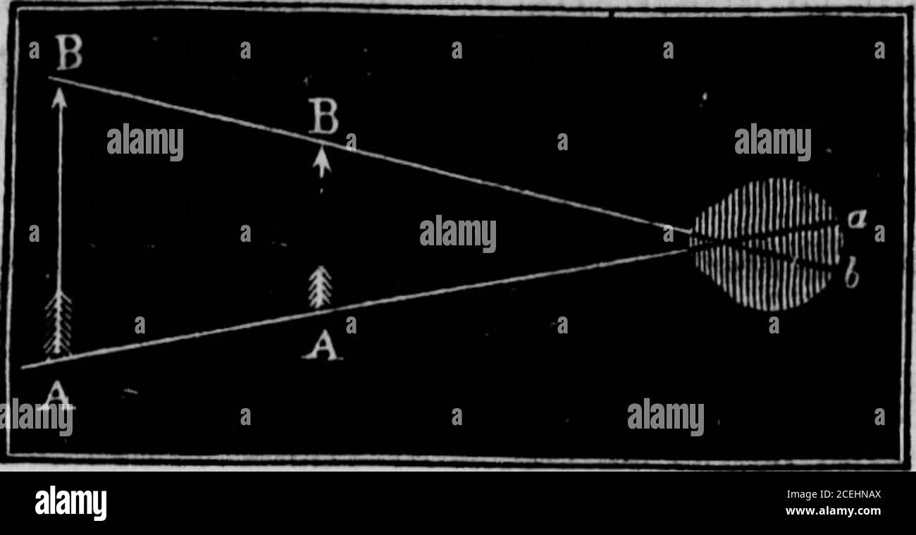 . Physiologie humaine : conçue pour les collèges et les classes supérieures dans les écoles, et pour la lecture générale. Une suite de comison d'expériences qu'il apprend la taille, les formes, et les distances des objets. Et ce faisant, le sens du toucher actsas l'éducateur de la vision, beaucoup, comme l'oreille éduque thevevice. Et même l'adulte, avec toute l'entraînement qu'il a accordé sur ses yeux, fait souvent des erreurs, surtout dans la relaa-tion à l'ampleur et à la distance. Il y a différents degrés d'habileté à voir; et il est le plus habile seer vrao fait le moins des erreurs mentionnées. 459. Banque D'Images