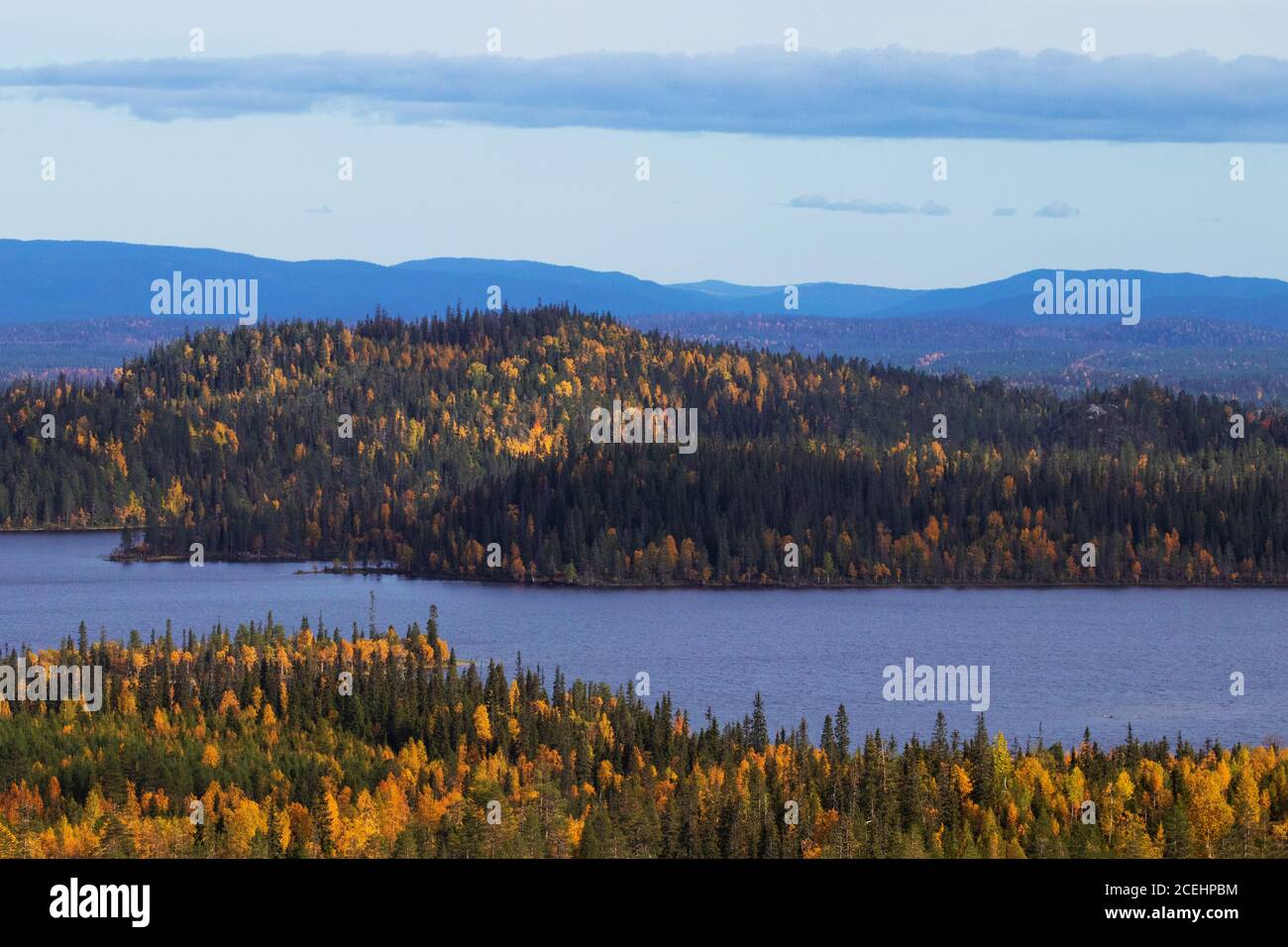 Flanc de coteau recouvert d'une forêt mixte de taïga pendant le feuillage d'automne par une journée ensoleillée au bord du lac. Kuusamo, nord de la Finlande. Banque D'Images