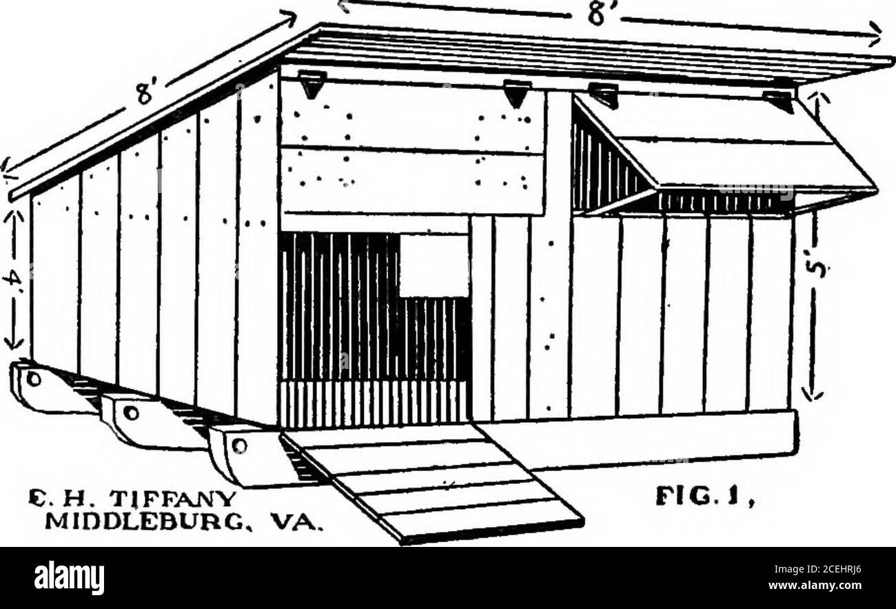 . Hogologie. H. B. CRNJT, KENESAW, NCBR. Un hangar de porc de ma propre construction-tion est montré dans l'esquisse ci-dessous.c'est certainement un bon marché, chaud hangar, construit dans un rack d'alimentation de cheval. Une maison bien construite EN FORME DE A est constructédans le rack, les planches de toit ronnidem que sur une maison de porc en forme DE A. Ihayez des portes dans le toit qui peuvent être ouvequand le rack est vide en été, en laissant entrer la lumière du soleil. Mon rack feed> est de 10 x 30 x 13 pi de hauteur avec un mangeur de 3 pi sur deux côtés et à une extrémité. L'autre extrémité est laissée ouverte pour une entrance pour les porcs. Je porte une charge de paille de blé et de couvrir cette maison, et remplir la mangeoire. Alors Banque D'Images . Hogologie. H. B. CRNJT, KENESAW, NCBR. Un hangar de porc de ma propre construction-tion est montré dans l'esquisse ci-dessous.c'est certainement un bon marché, chaud hangar, construit dans un rack d'alimentation de cheval. Une maison bien construite EN FORME DE A est constructédans le rack, les planches de toit ronnidem que sur une maison de porc en forme DE A. Ihayez des portes dans le toit qui peuvent être ouvequand le rack est vide en été, en laissant entrer la lumière du soleil. Mon rack feed> est de 10 x 30 x 13 pi de hauteur avec un mangeur de 3 pi sur deux côtés et à une extrémité. L'autre extrémité est laissée ouverte pour une entrance pour les porcs. Je porte une charge de paille de blé et de couvrir cette maison, et remplir la mangeoire. Alors Banque D'Images