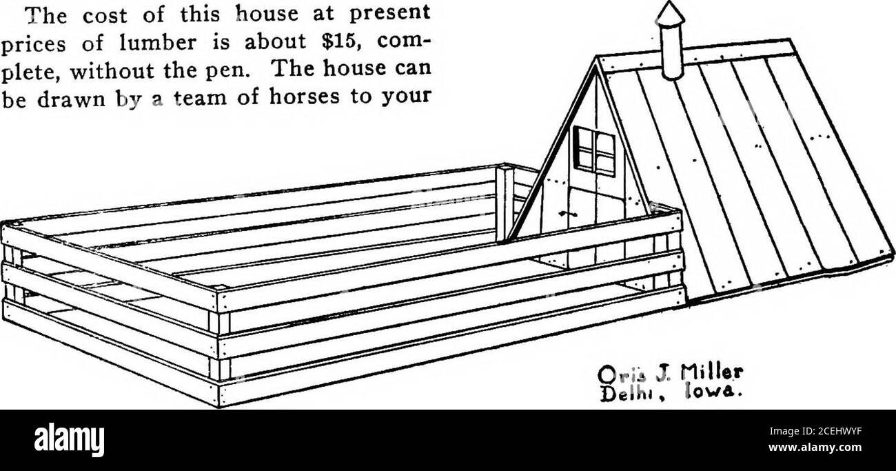 . Hogologie. Sily construit, à bon marché construit, et avec le carriwill approprié pour durer des années. Ils peuvent être linédup dans une rangée et banked avec strawon le côté arrière et entre les maisons qui les rend très chaud même pendant les jours les plus froids. Un GAL- Nineiy-Five HOGOLOGY ventilateur et porte-fenêtre la maison saine pour le barrage et la litière. Lorsque les porcs ont quelques jours, les enclos devant peuvent être utilisés par les jeunes, ce qui garantit que les jeunes reçoivent une bonne quantité d'air frais, de soleil et d'exercice. Si mes cochons ne prennent pas d'exercice dans ces enclos, je les forceles de faire ainsi en les conduisant. Le coût de cela Banque D'Images