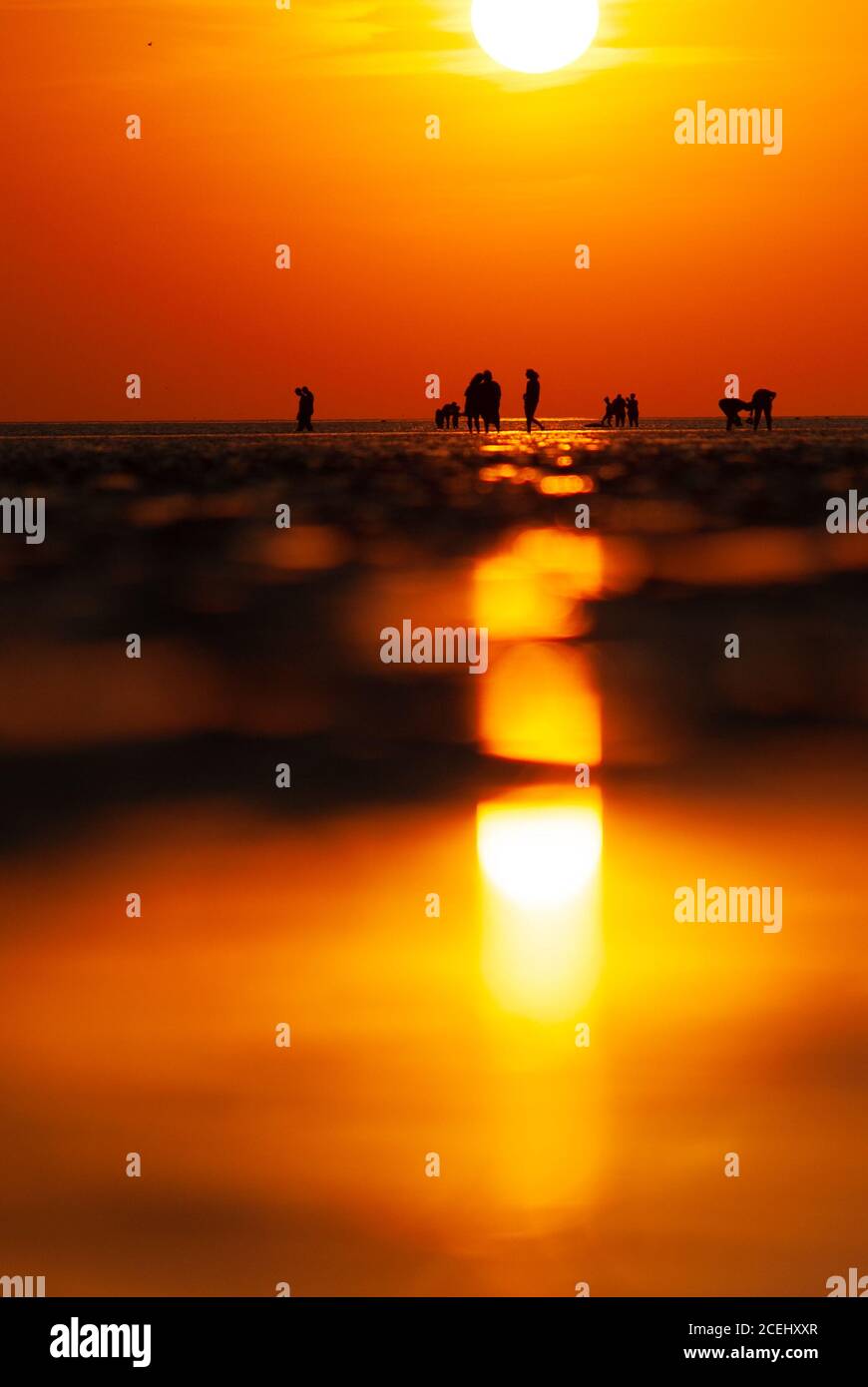 Mise au point sélective des personnes sur la plage de mudflap au coucher du soleil au large de Buesum. Une scène d'été. Banque D'Images