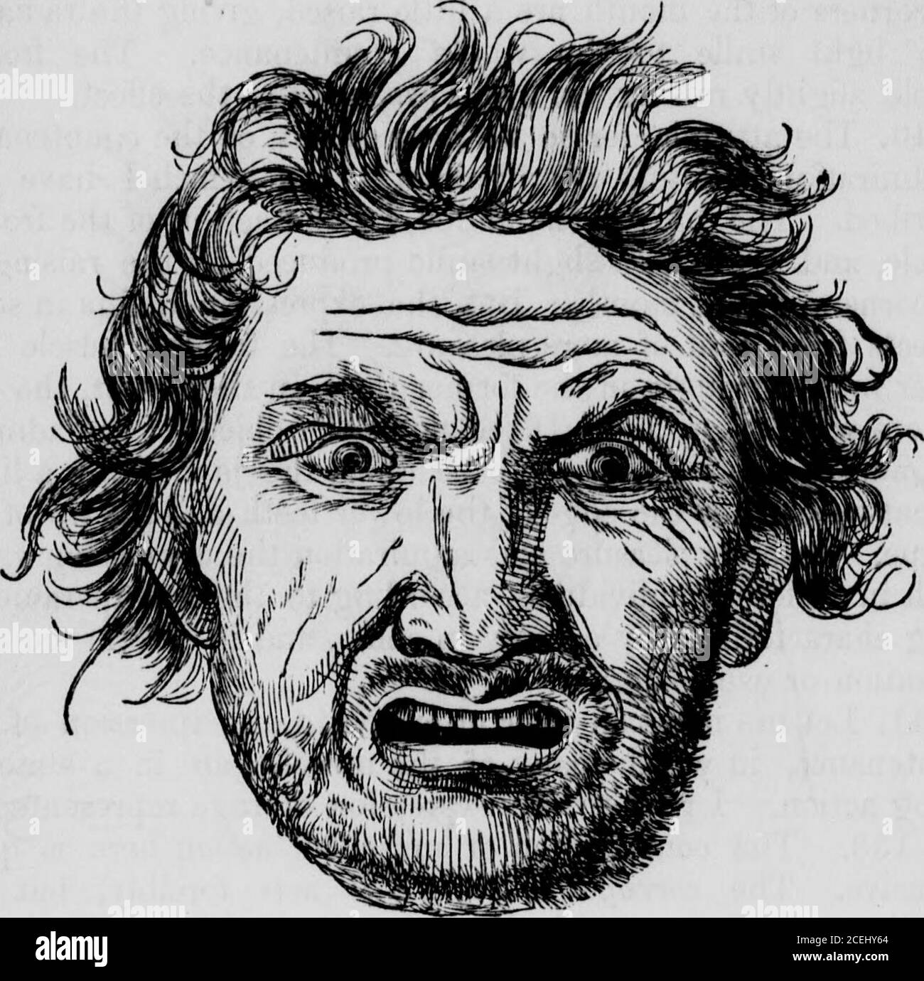 Lip Muscles Banque De Photographies Et D Images A Haute Resolution Alamy