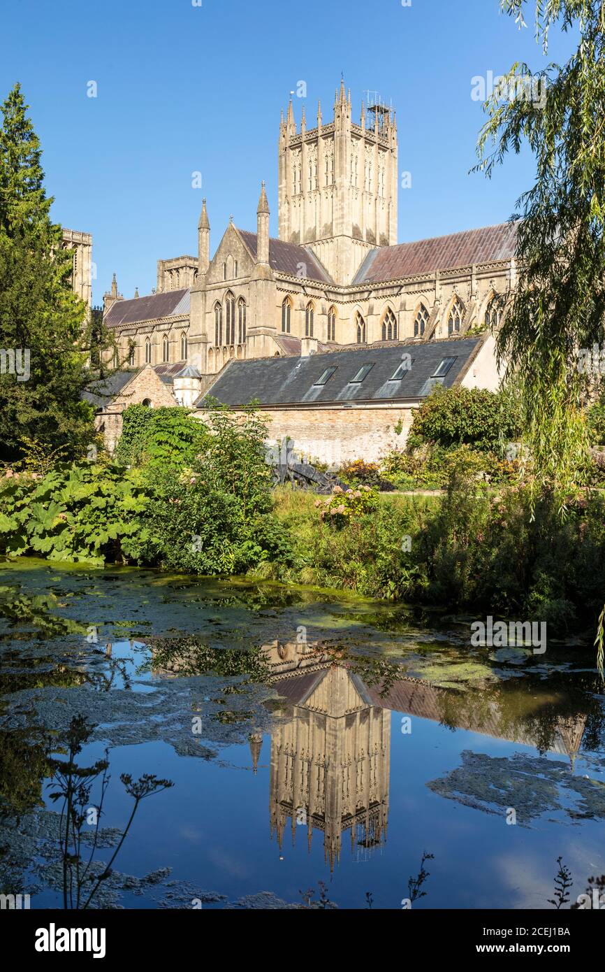 Wells Cathedral se reflète dans le Moat des Bishops Palace Gardens à Wells, Somerset, Angleterre, Royaume-Uni Banque D'Images