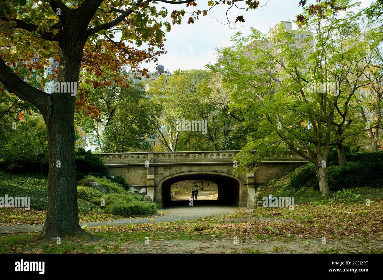 Un couple fait une promenade décontractée dans Central Park à La chute Banque D'Images