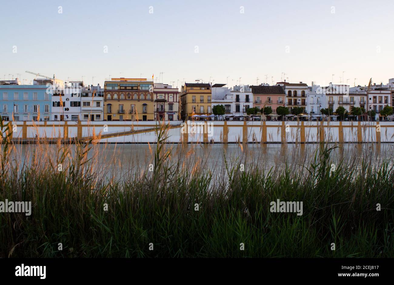 rive avec roseaux sur le fleuve Guadalquivir à Séville Banque D'Images