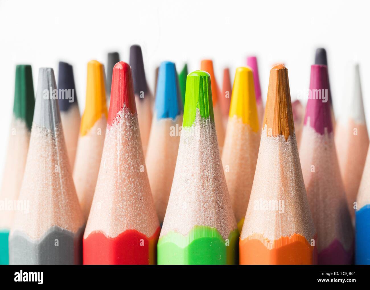 Crayons de couleur sur fond blanc.gros plan. Concept de retour à l'école. Banque D'Images