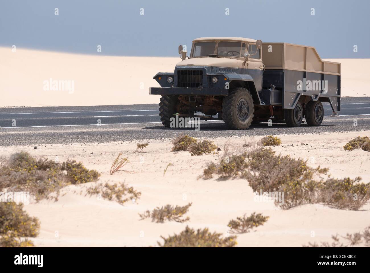 Transport noir et beige sur la route dans le désert avec plantes sèches et dune de sable sur fond gris ciel Banque D'Images