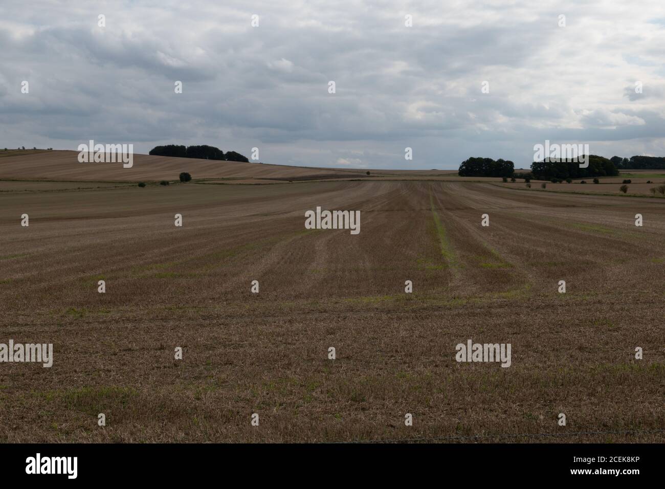 Site de la bataille de Roundway Hill, Devozes, Wiltshire, Royaume-Uni. Une des batailles de la première guerre civile anglaise en 1643 Banque D'Images