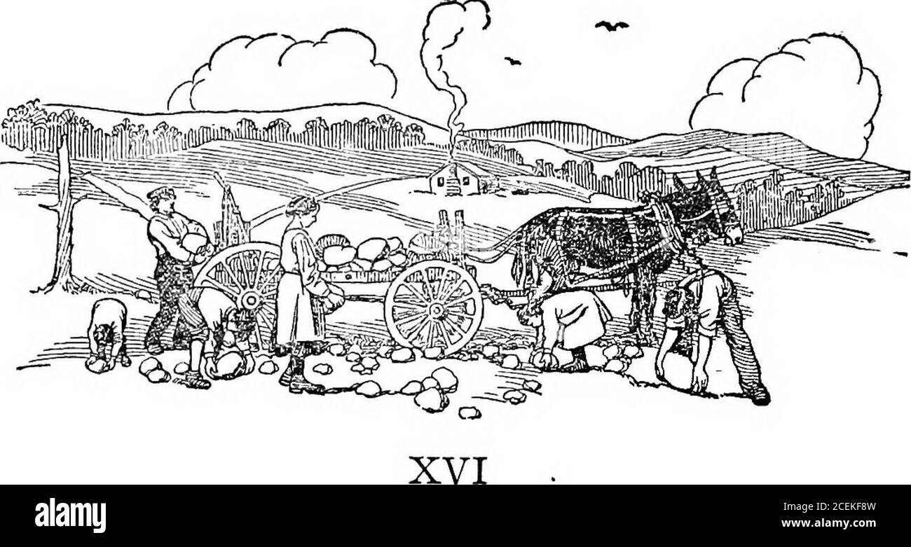 La Sympathie Banque D Image Et Photos Alamy La Sympathie Banque D Image Et Photos Alamy