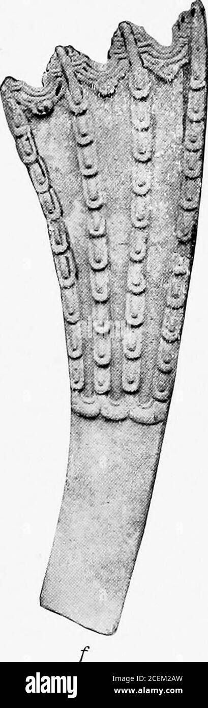 . Certaines antiquités de l'est du Mexique. Photographié par des PIERRES EN FORME DE VENTILATEUR Ximenes (COLLECTION DEHESA) ,(, b avec le visage humain c avec la tête d'oiseau et le corps(t 28i par 7i inchese 18 by &i pouces/ 23i by si pouces BUREAU OF AMERICAN ETHNOLOGY VINGT-CINQUIÈME RAPPORT ANNUEL PL. CXX ^^H ^^^^^^^^^^^1 ^^^^^P^^^^H ^^^1 W ^^  ^^^M ^ ^^1^^^^pr ^ ...-^Hmll^ft^H B^?3 K JP f *r^^^^^^^;T^M ^^^^^^^fj^1. ..j^&AE. ■ Banque D'Images