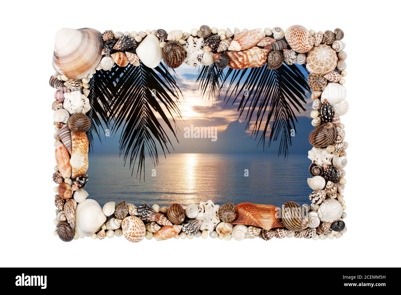 Coquillages photo cadre blanc arrière-plan isolé proche, coquillages mer image bordure, coucher de soleil plage, vacances d'été, vacances sur l'île tropicale, paume Banque D'Images