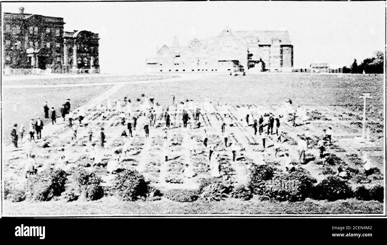 . L'école rurale américaine : ses caractéristiques, son avenir et ses problèmes. Avec brainshe est capable comme un homme d'élever plus de produits agricoles, acre, que son père n'a jamais fait avant lui. M. Jewellexclame très de pertinence: — combien un fermier garçon, qui pratirera l'agriculture toute sa vie, traverse sa vie à l'école et à la maison sans connaître les racines de la com s'est répandue, ou comment cultiver la com properlypour assurer le plus grand rendement, sauf comme il suit ce qu'il voit thersdo et sans savoir une centaine de choses du genre qui scienceest en attente pour lui apprendre et utiliser ? H Banque D'Images