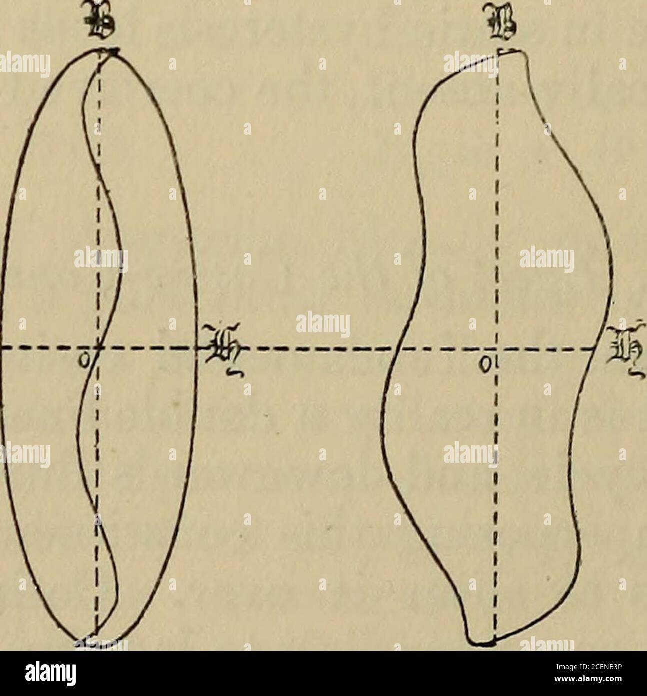 . Le magazine philosophique et la revue scientifique de Londres, Édimbourg et Dublin. Les termes des ordres supérieurs sont responsables de la distorsion de l'ellipse en forme caractéristique à deux bandes. Figure 25 montre le résultat de la superposition anégative troisième cosinus-constituant sur l'ellipse. Mais ce chiffre particulier, qui ressemble à un capital S, n'a pu être obtenu à partir d'aucune expérience, car ni la moitié ascendante ni la moitié désencombisante n'est à valeur unique. Aucune courbe expérimentale* ne pouvait,en montant à partir du point où il traverse l'axe ?^,courbe vers l'arrière vers l'axe 33, puis recurse depuis cet axe Banque D'Images