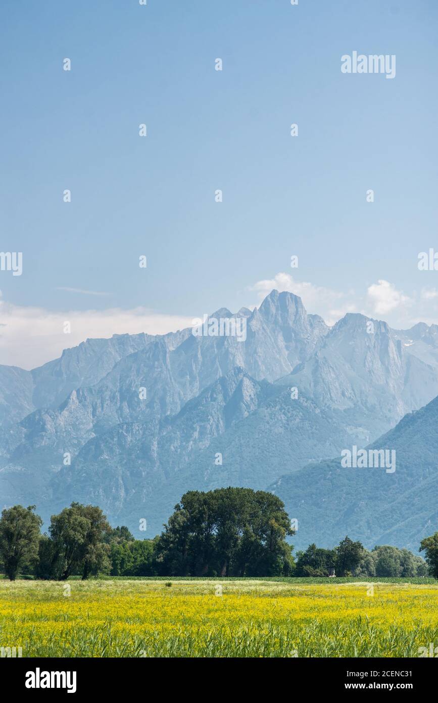 Alpes de montagne pittoresques et prairie verte avec fleurs jaunes près du lac de Côme. Colico. Italie. Banque D'Images