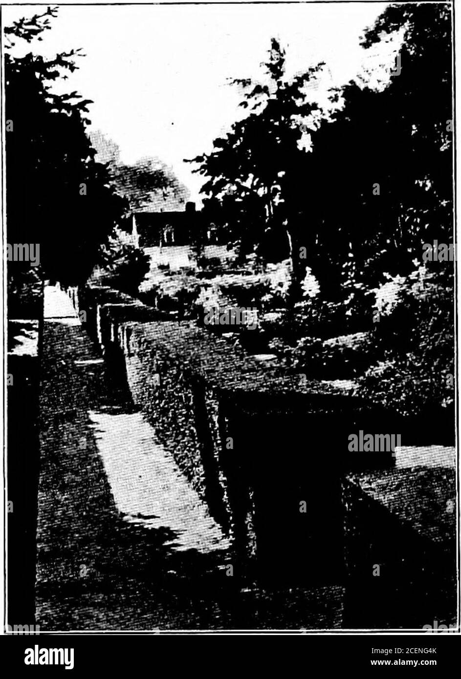 . Agriculture pour les écoles du Sud. Oughtto être planté. Demandez-leur de conserver ces cartes. Après avoir studiedles sections sur les arbres les laisser écrire sur les cartes les genres d'arbres thatthey choisiraient pour n'importe quel endroit nécessitant des arbres. SECTION XXXIV. FLEURS EN CROISSANCE la plupart des plantes trouvées dans le jardin de fleurs peuvent être gazées soit comme (i) arbustes, (2)bulbes et tubercules, ou (3) herbes. Les arbustes sont tous annuels et sont donc mostof les plantes croissent à partir de bulbes et tubercules.les herbes à fleurs peuvent être annuelles, biennales, ou vivaces. Comme une rulevivace plantes fournit les premières fleurs, forils ont mis en place moi Banque D'Images