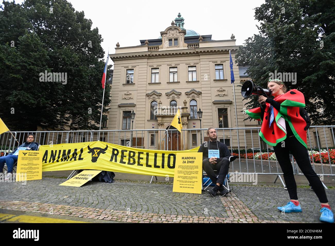 Prague, République tchèque. 1er septembre 2020. Le mouvement de protestation hebdomadaire Together for Life de la rébellion animale en République tchèque a commencé par une grève de la faim de plusieurs jours devant le bureau du gouvernement tchèque à Prague, en République tchèque, le 1er septembre 2020. L'objectif est de mobiliser et d'informer le public de la crise climatique et de l'industrie animale. Crédit : Michal Kamaryt/CTK photo/Alay Live News Banque D'Images