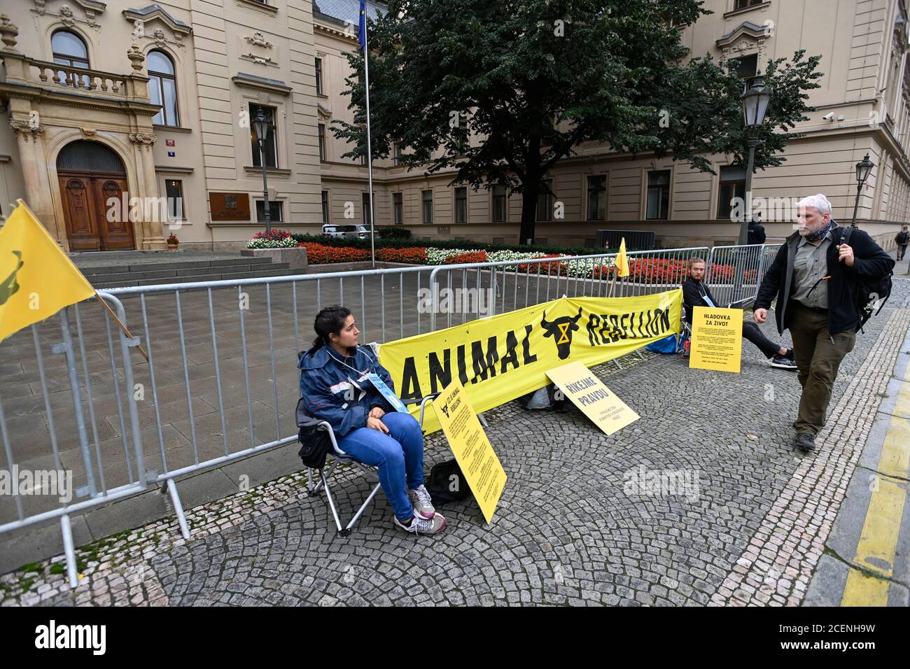Prague, République tchèque. 1er septembre 2020. Le mouvement de protestation hebdomadaire Together for Life de la rébellion animale en République tchèque a commencé par une grève de la faim de plusieurs jours devant le bureau du gouvernement tchèque à Prague, en République tchèque, le 1er septembre 2020. L'objectif est de mobiliser et d'informer le public de la crise climatique et de l'industrie animale. Crédit : Michal Kamaryt/CTK photo/Alay Live News Banque D'Images