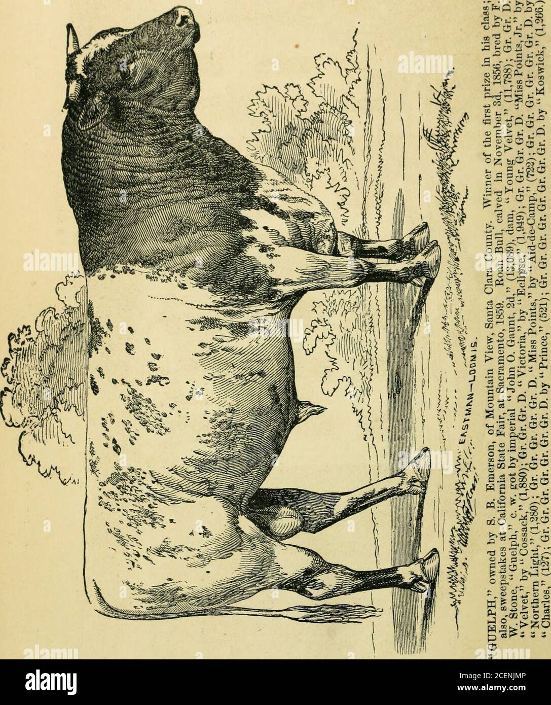 . Annexe aux Journaux du Sénat et l'Assemblée générale de la ... session de l'Assemblée législative de l'État de Californie. Banque D'Images