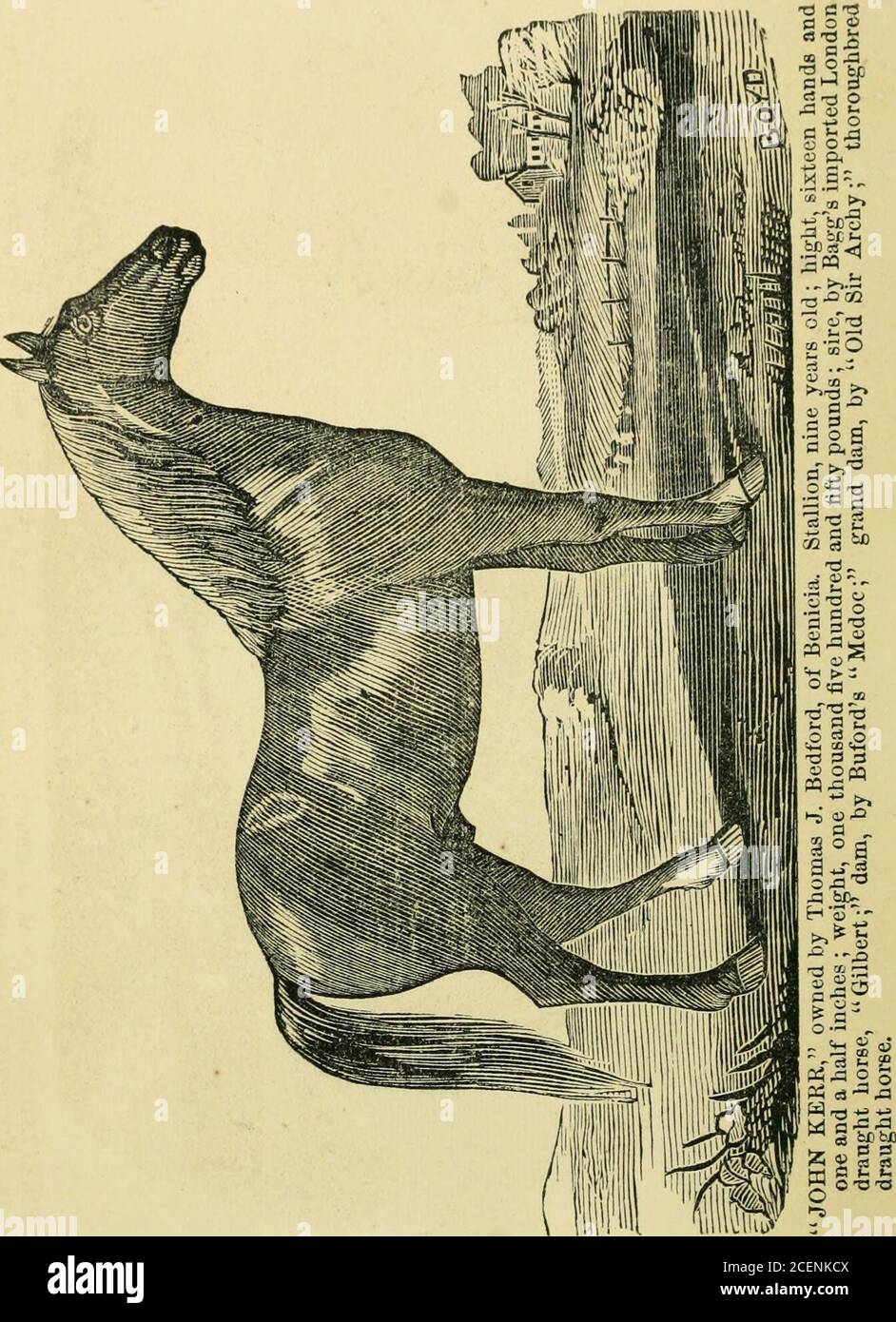 . Annexe aux Journaux du Sénat et l'Assemblée générale de la ... session de l'Assemblée législative de l'État de Californie. Banque D'Images