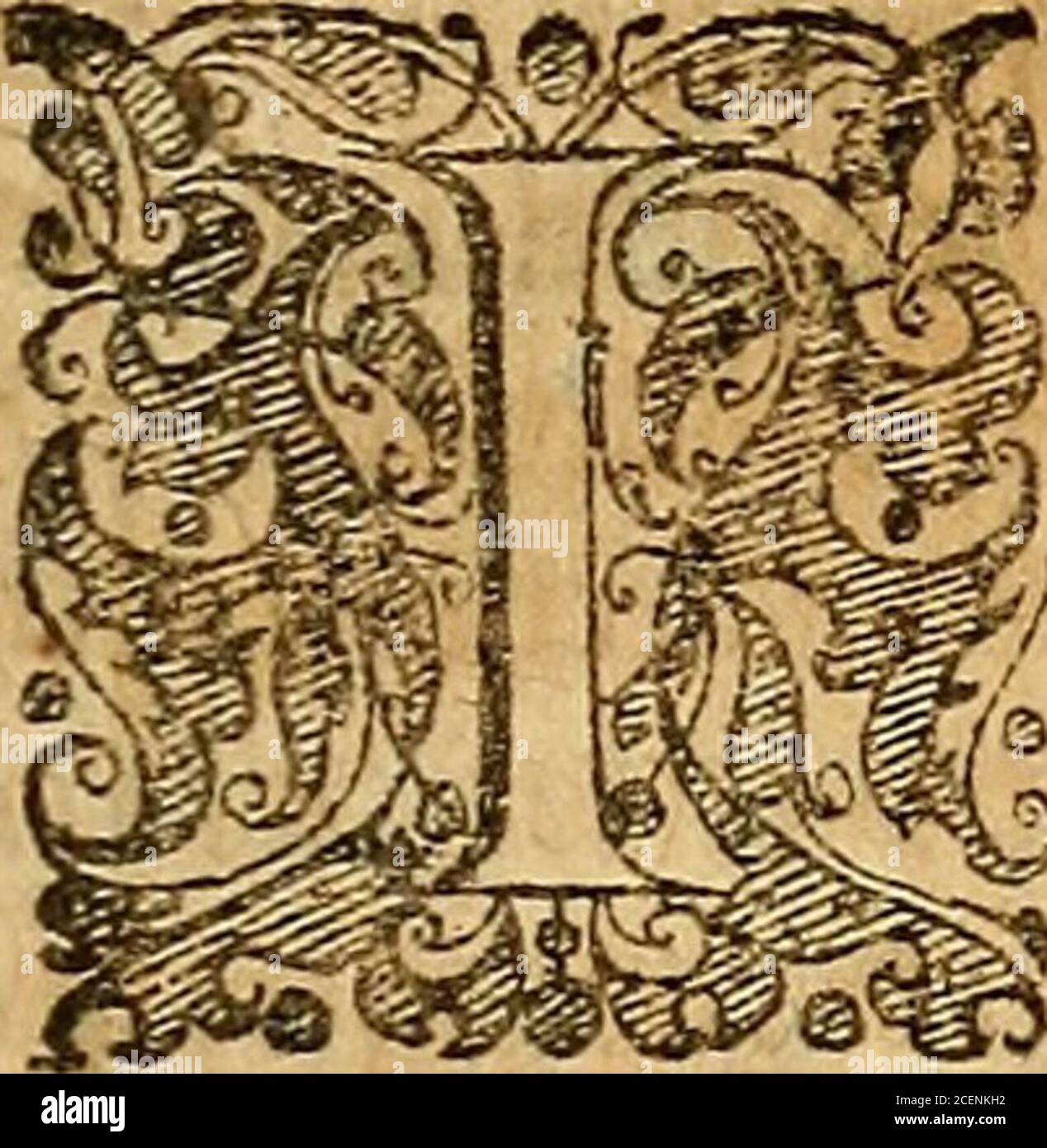 Gw G Banque D Image Et Photos Alamy