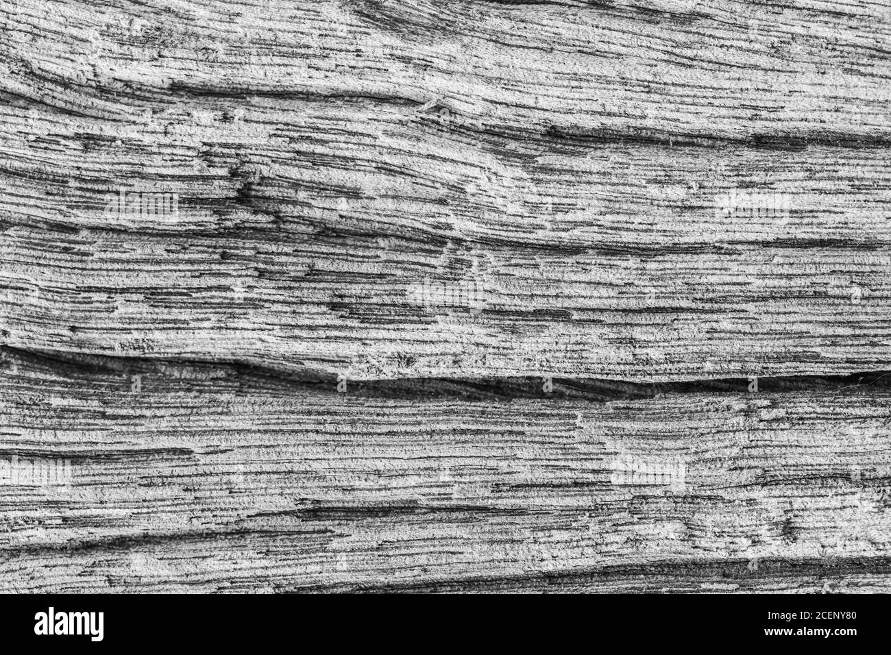 Bois pourri avec des lignes motif cassé, abîmé craquelé vignetage texture grunge pour le fond Banque D'Images